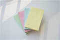 5 inches Pastel Colorful Standard sticky