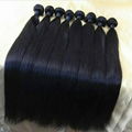 10''12''14'' Amais Cuticle Aligned Virgin Human Hair Extensions