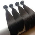 10''12''14'' Amais Cuticle Aligned Virgin Human Hair Extensions 2