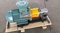 ZYB483.3渣油齒輪泵植物油廠專用 3