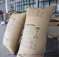 Dunnage Air Bag 4