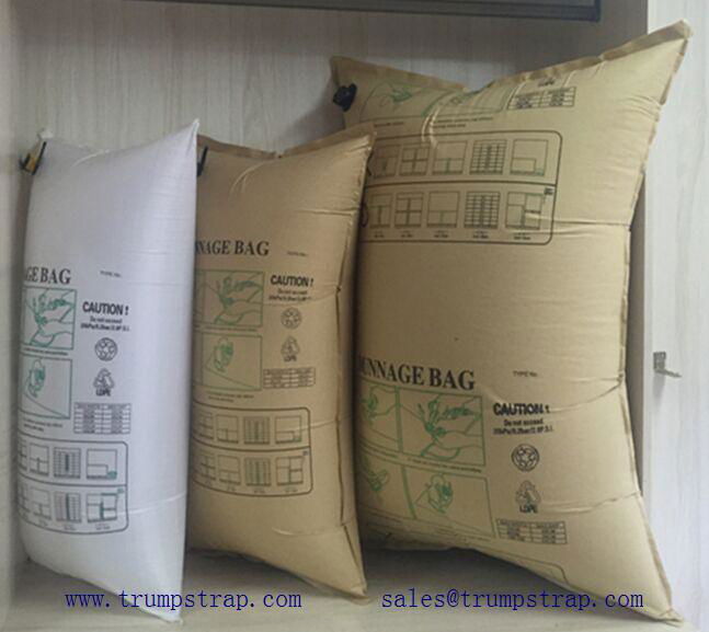 Dunnage Air Bag 5