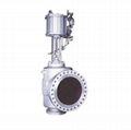 Globe valve  1