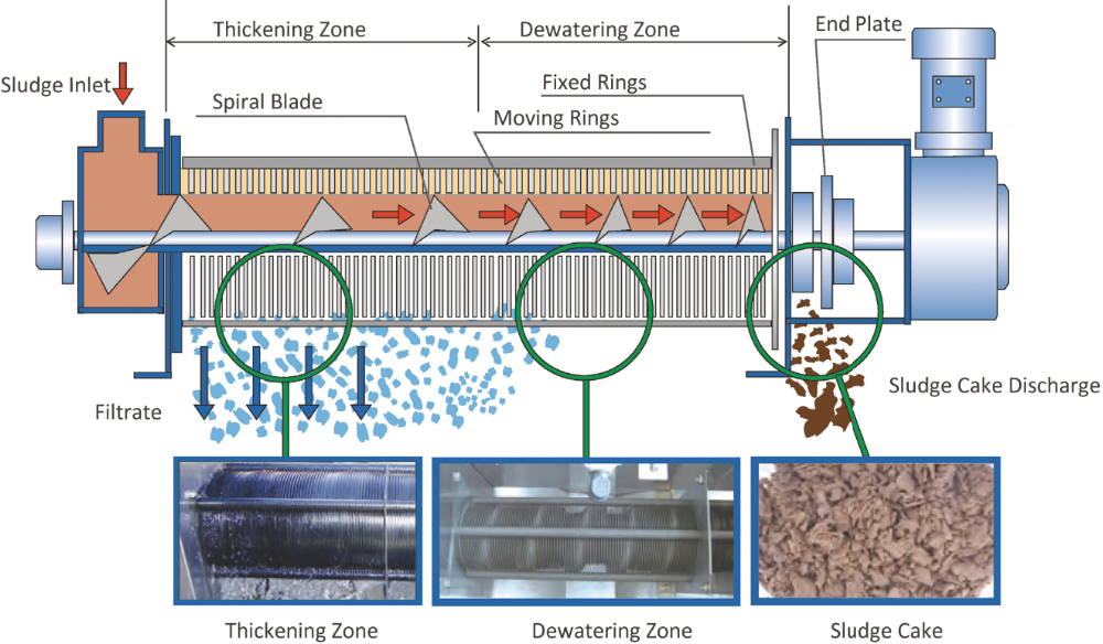 Organic sludge ECOH Screw sludge dewatering machine 2