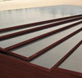 Dynea phenolic brown film faced plywood 