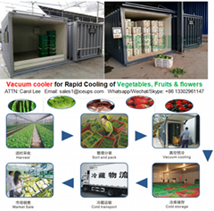 Vacuum precooling equipment for farm produce