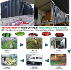 3000KG/cycle vacuum cooler for vegetables