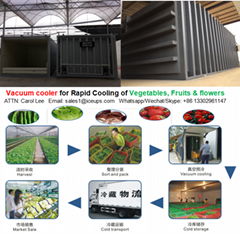 Vacuum  cooler machine for precooling vegetables