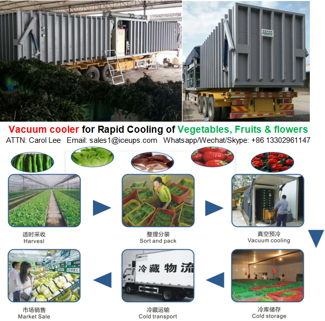 Farm produce processing mchine vacuum cooler KMS2P ICEUPS (China