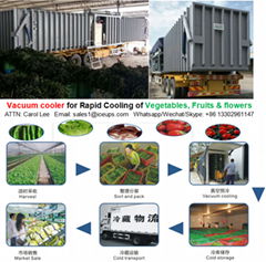 Farm produce processing mchine vacuum cooler