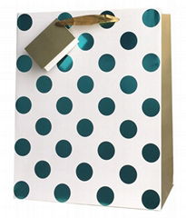 Hot sales new design gift bags with hot foil