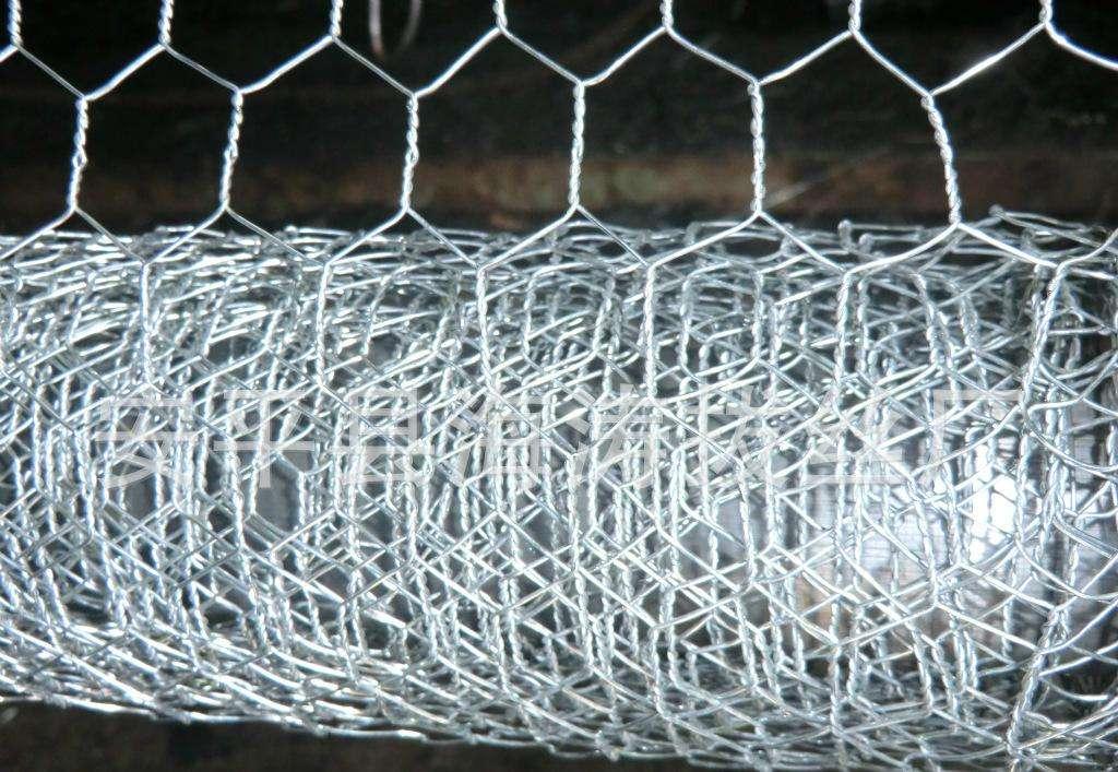 Galvanized and pvc coated hexagonal wire netting 3