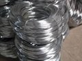 low price electro hot dipped galvanized iron steel wire 5