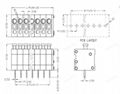DEGSON高正高松-DG250-3.5mm間距彈簧式免螺絲接線端子 2