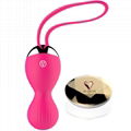 Hot sale Fox kegel ball silicone