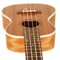 INITER Mahogany Concert Ukulele Wood Color