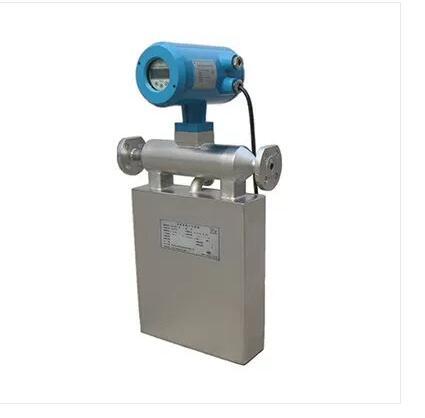 Digital Mass Flow Meter ZERO100M