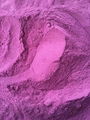 脱水紫薯粉 1