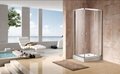 Glass Shower Enclosures 5