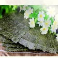 Quality assurance nori seaweed with best price 3