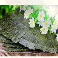 FDA, QS,NOP nori seaweed with best price 4