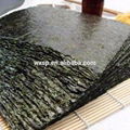 Popular A B C D nori seaweed with certificate 5