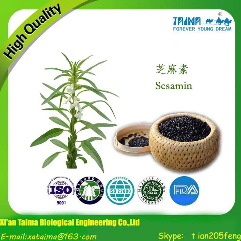  Xi'an Taima professionally manufacture and supply Sesamin with the best price 4