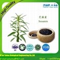  Xi'an Taima professionally manufacture and supply Sesamin with the best price 4