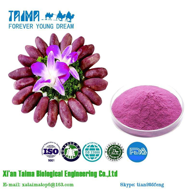  Xi`an Taima hot selling high quality Organic purple sweet potato juice powder 3