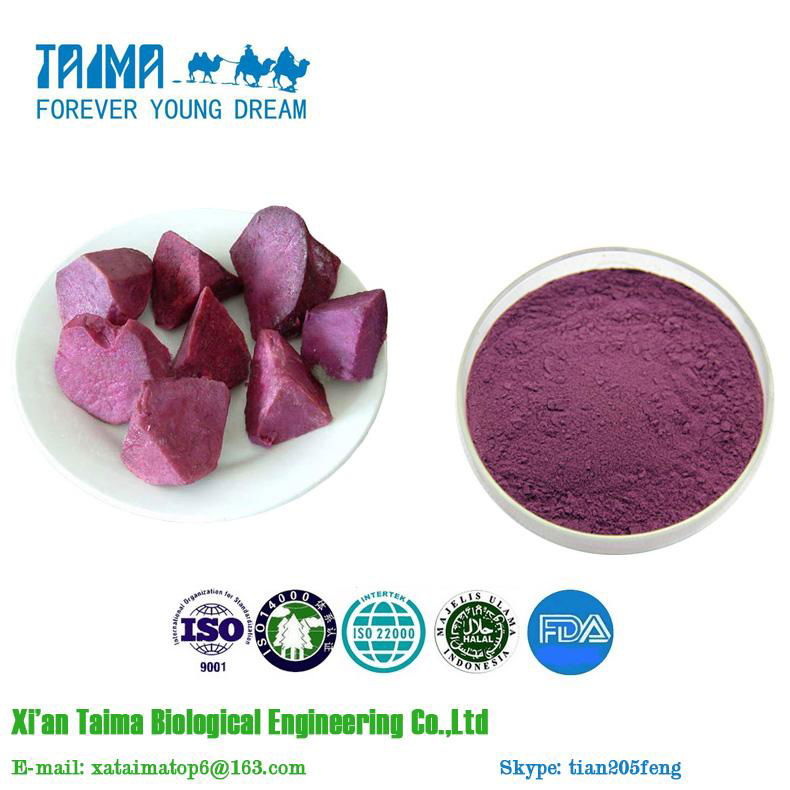  Xi`an Taima hot selling high quality Organic purple sweet potato juice powder 5