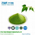 Factory sell high quality natural chlorophyll 1