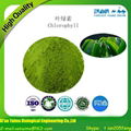 Factory sell high quality natural chlorophyll 4