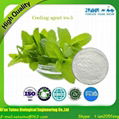  Xi'an Taima supply 100% Pure Cooling Agent ws-5 Edible cooling agent 1