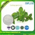  Xi'an Taima supply 100% Pure Cooling Agent ws-5 Edible cooling agent 5