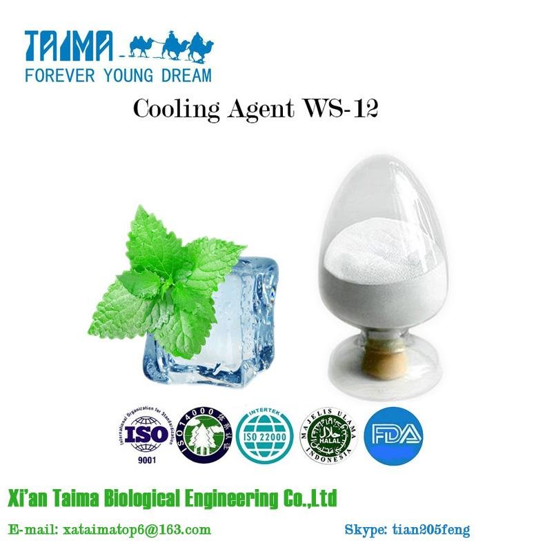 Factory direct hot selling high concentrated cooling agent ws-12 4