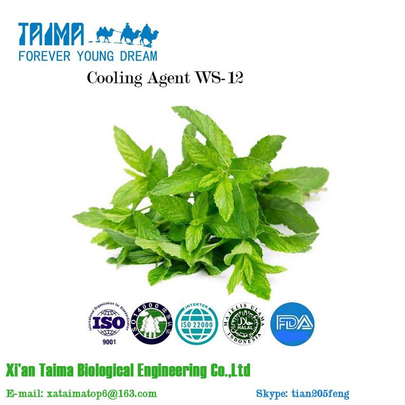 Factory direct hot selling high concentrated cooling agent ws-12 5