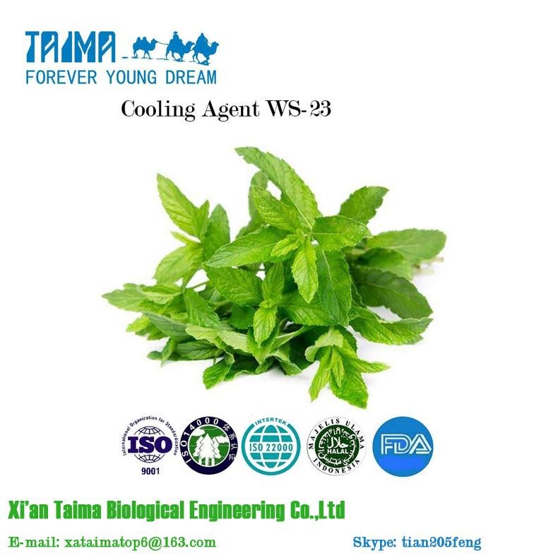 TAIMA Bulk Package Cooling Agent WS-12 WS-23 Powder with best price Malaysia