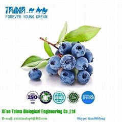 100% Pure Natural Drinking and Beverage Additives Blueberry Powder Juice Powder 