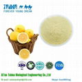 TAIMA Freeze dried lemon powder selling well in Europe and America market  2