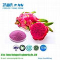 2018 Xi'an Taima best selling Freeze Dried Dragon Fruit powder