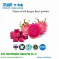 2018 Xi'an Taima best selling Freeze Dried Dragon Fruit powder 2