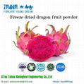 2018 Xi'an Taima best selling Freeze Dried Dragon Fruit powder 3