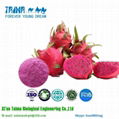 2018 Xi'an Taima best selling Freeze Dried Dragon Fruit powder 4