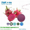 2018 Xi'an Taima best selling Freeze Dried Dragon Fruit powder 5