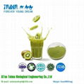 Taima Offers High Quality Freeze Dried Kiwi Fruit Powder