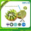 Taima Offers High Quality Freeze Dried Kiwi Fruit Powder 2