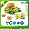 Taima Offers High Quality Freeze Dried Kiwi Fruit Powder 3