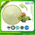 Taima Offers High Quality Freeze Dried Kiwi Fruit Powder 4