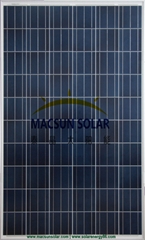 325W  Poly Crystalline Solar Modules