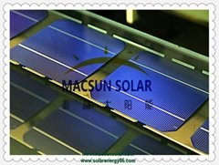 156mm Mono Crystalline Solar Cells